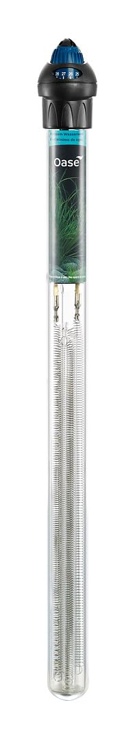 View 4