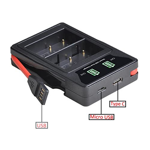 PowerTrust 2 batterie NP-BG1 NP-FG1 e