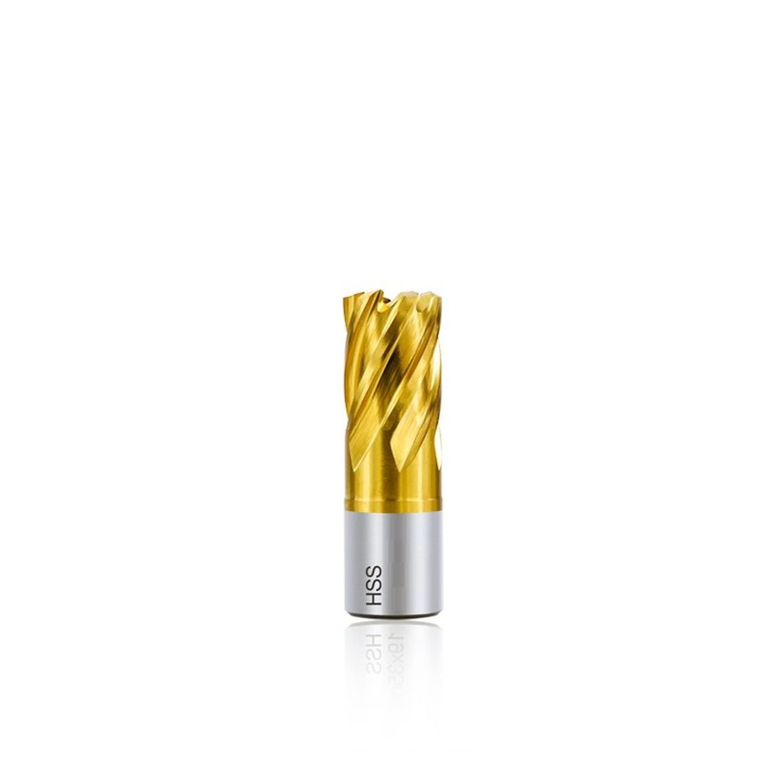 Taglierina Anulare Dello Stinco Di Weldon Della Punta Di Carotaggio Del Rivestimento Di TiN Per La Punta Di Trapano Magnetica Di Taglio Del Metallo,19x35 Mm