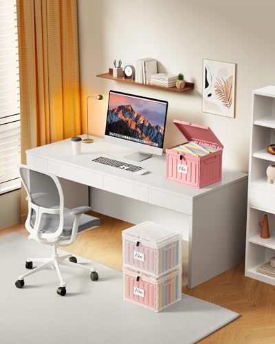 Oterri Plastic File Box with Lid for Letter Size File Folders, Hanging File Folder Box, File Organizer for File Cabinet, Home, Office,School(Clear, Large-1 Pack Without Folders)