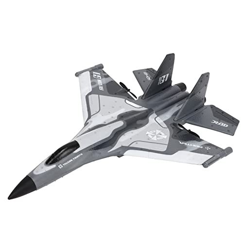 RC Glider Plane, 2 Take Off Methods RC Airplane Flexible 2.4Ghz LED Light with Remote Control for over 14 Years Old for Travel (2 Batteries)