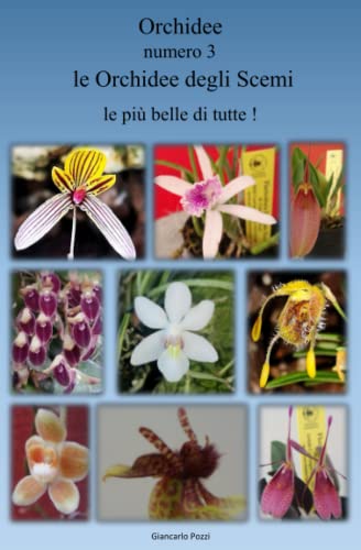 orchidee n° 3 LE ORCHIDEE DEGLI SCEMI: Le più belle di tutte