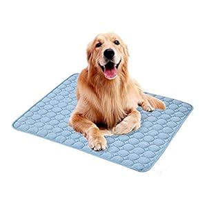 ENJY Koelmat 2-delige draagbare huisdier zomerkoeling deken ademende hond katten slaap pad cool pad benodigdheden (Color : Blue, Size : 70 x 56 cm)