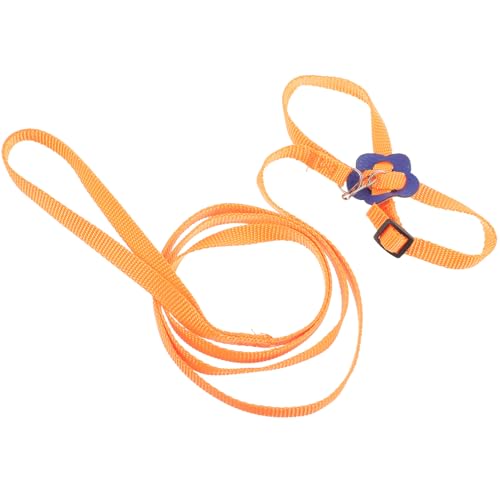 Toddmomy Lizard Harness Strap Reptile Traction Rope Iguana Leash Harness Nylon Chameleon Hauling Small Pet Walking Leash