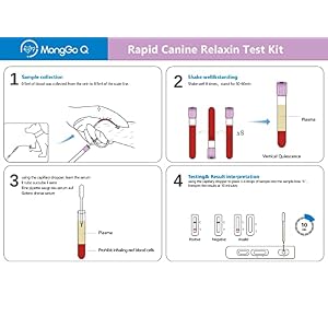 10 Pcs Dog Pregnancy Test Kit at Home, Rapid Relaxin Dog Pregnancy Test Canine Pregnant Test Strip Supplies Convenient Fast and Accurate Easy to Use Results for Breeders Home Vet Clinic Hospital 10 Pcs Dog Pregnancy Test Kit at Home, Rapid Relaxin Dog Pregnancy Test Canine Pregnant Test Strip Supplies Convenient Fast and Accurate Easy to Use Results for Breeders Home Vet Clinic Hospital