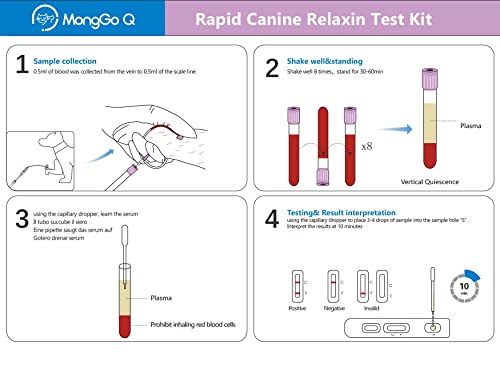 10 Pcs Dog Pregnancy Test Kit at Home, Rapid Relaxin Dog Pregnancy Test Canine Pregnant Test Strip Supplies Convenient Fast and Accurate Easy to Use Results for Breeders Home Vet Clinic Hospital 10 Pcs Dog Pregnancy Test Kit at Home, Rapid Relaxin Dog Pregnancy Test Canine Pregnant Test Strip Supplies Convenient Fast and Accurate Easy to Use Results for Breeders Home Vet Clinic Hospital