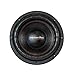 American Bass XFL 12
