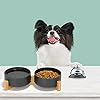 Ceramic Dog Bowl Set with Wooden Stand