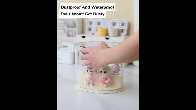 Q10DVD-BOX ブックレット、レンズ付きストラップ、フィギュア Amazon.com: AOWIS Transparent Doll Display Box, Stackable Doll