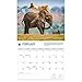 Carousel Calendars, Elephants WWF 2026 Wall Calendar, 12.01'' X 14.09'', 16-Month Calendar with Stapled Binding