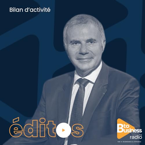 Bilan d'activit&eacute; | Pierre Pelouzet, M&eacute;diateur des entreprises