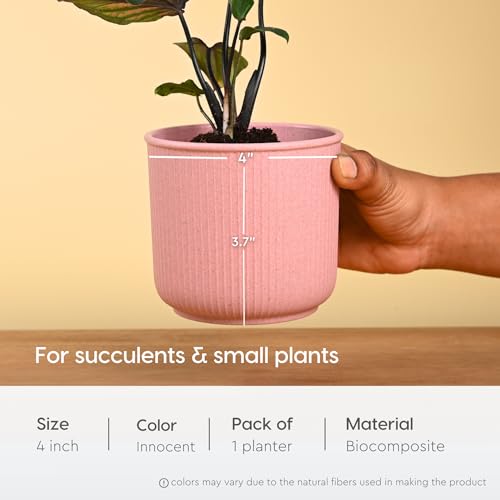 Image of Eha Earth Friendly Statement Pot 4 Inch Pots and Planters Set of 1 | Table Top Planters| Bamboo Based, UV Protected | Planter for Indoor & Balcony Window Flower Pots | Innocent