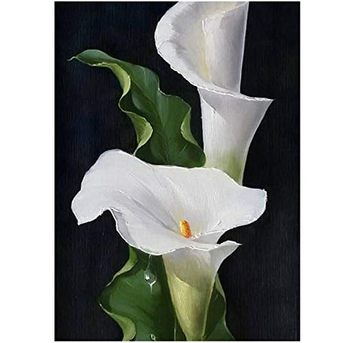YUNNEL DIY 5D Diamond Art Kit, White Calla Lily, 11.8x15.7 inch, Modern Mosaic Style, Adults & Kids, Non-Foldable