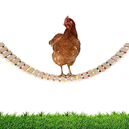 Poulailler en bois avec enclos - 6 à 8 poules - Zolia Mimosa