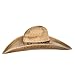 Charlie One Horse Coyote 7` Brim Beaded Band Natural/Burned