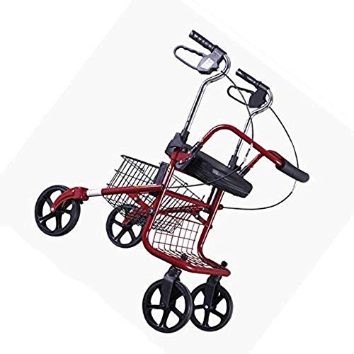 UYDJAKX EH[LOt[ y ܂肽ݎ A~jE EH[J[ VbsOJ[g ړ⏕ ҁAQҌ - 300|h ̌