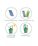 Zoom IMG-1 igreen cover piantabile con semi Zoom IMG-1 igreen cover piantabile con semi