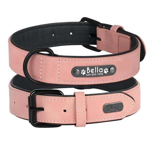 Didog - Collar de piel suave acolchada personalizable para perro, chapa de nombre, anilla en D, collar grabado para perro, tamaños pequeño, mediano y grande