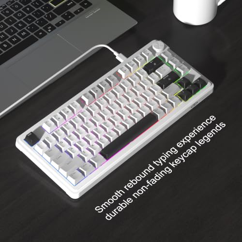 Image of MageGee 80% Gaming Keyboard, RGB Backlit Wired Mechanical Feel Keyboard with Volume Knob, 80 Keys Compact USB Keyboard, 19-Key Rollover, Multimedia Keys for PC, Computer, Laptop, Windows