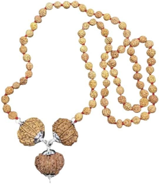 Rudraksha Népal protection pendentif argent 8 10 12 Mukhi