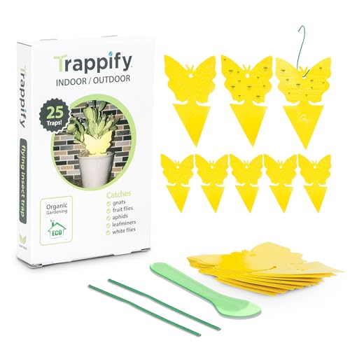 Trappify Sticky Gnat Traps for House Indoor - Yellow Fruit Fly Traps for Indoors/Outdoor Plant - Insect Catcher White Flies, Mosquitos, Fungus Gnat Trap, Flying Insects - Disposable Glue Trapper (25)