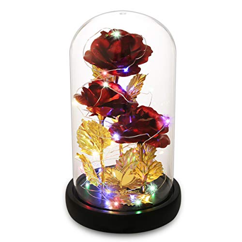 Roses Éternelles pour Elle, Roses La Belle et la Bête, Roses Lumineuses, Roses Colorées - Noël Saint Valentin Fête des Mères Anniversaire Souhaits Cadeaux pour Maman Femme Petite Amie Cover