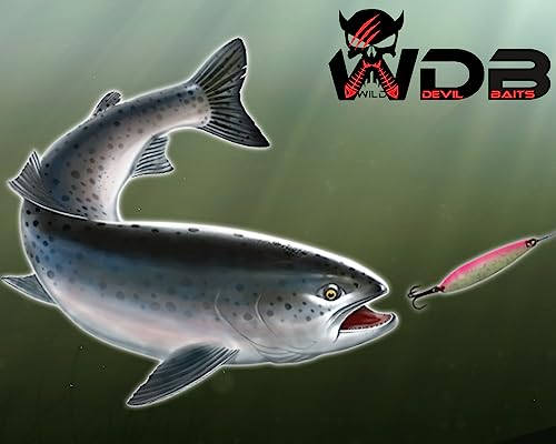 Angel Berger 5 Mare Indicatore di direzione per