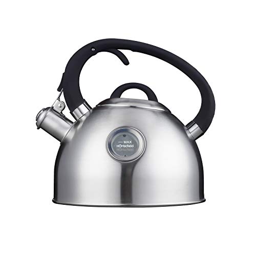Best Small Whistling Tea Kettle 10Reviewz