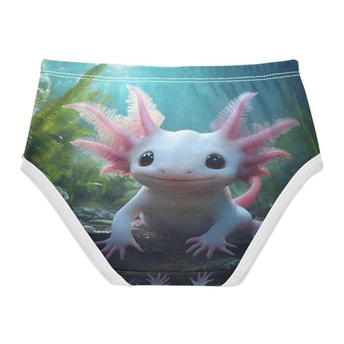 Cute Axolotl Undersea Toddler Girls's Underwear 2T 202b88472