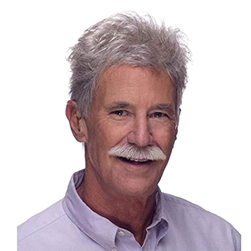AIYLMZ Short White Ombre Wigs for Older Men Hair Toupee for Men Natural Side Part Synthetic Wigs Men's Hairpieces White Seniors Wigs (Gray)