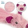 Best-Pet-Supplies-2-in-1-Stuffless-Squeaky-Dog-Toys-with-Soft-Durable-Fabric-for-Small-Medium-and-Large-Pets-No-Stuffing-for-Indoor-Play-Holds-a-Plastic-Bottle 2 in 1 Stuffless Squeaky Dog Toys with Soft