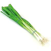 Découvrez la cébette, cette petite touche de fraîcheur qui réveille vos plats avec douceur et caractère. Parfaite pour relever salades, omelettes ou grillades, elle apporte ce petit goût d’oignon frais qui fait toute la différence. Avec Oignon, laiss...