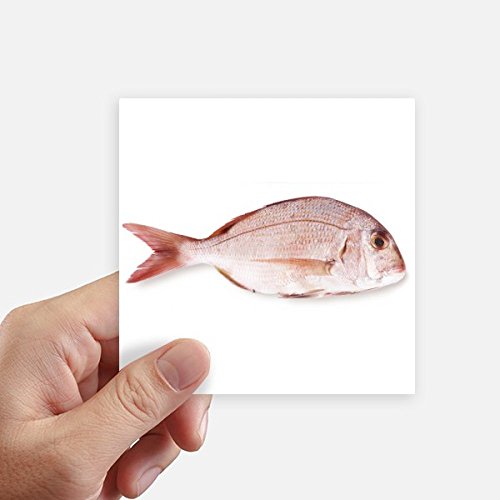 Sticker ocean poisson rose 10 cm adhésif carré multicolore x8
