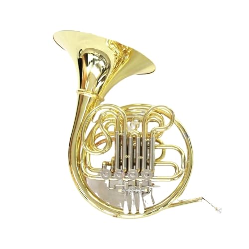 t`zy Ǌy F Bb g[ _ut`z vtFbVi 4L[ O\