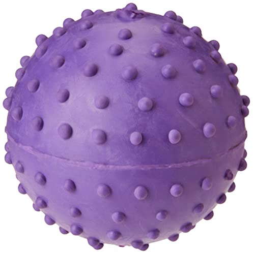 Classic Pet Products Palla per brufoli con campanella, 60 mm, Colore: Viola