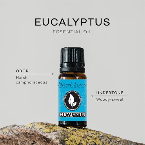 Image of Eucalyptus Premium Grade Fragrance Oil - 10ml - Scented Oil