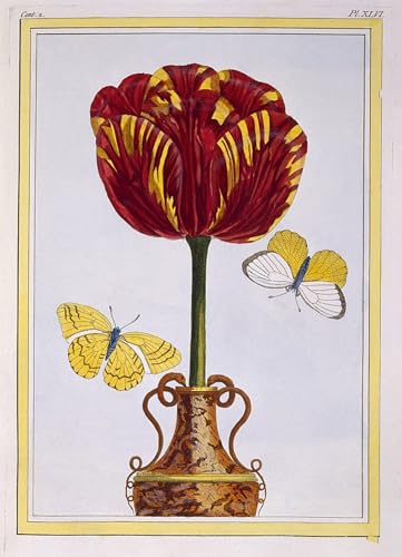 Poster Tulipe Pierre Buchoz 60x90cm pour embellir un bureau triste et vide