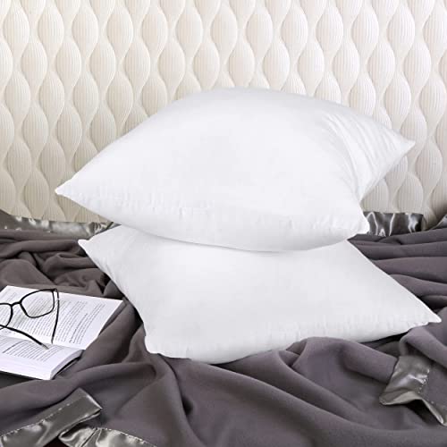 Utopia Bedding Throw Pillows Insert 2Pk 12X20 And 2Pk 20X20 Inches (White) #TOP7