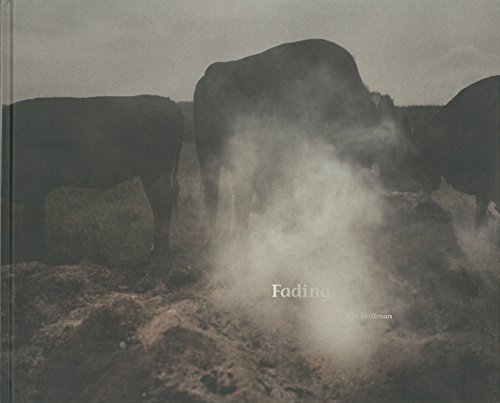 Preisvergleich Produktbild Elis Hoffman: Fading