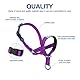 Pawaboo Hundehalfter Haustier Sicher Kontrolle - Nylon Reflektierende Einstellbare Hundehalter Hundeband Training Halter für Hunde, Wepeln, S Größe, Lila