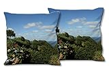 Glücksvilla - Fundas de cojín con foto - Juego de 2 fundas de cojín (2 unidades) 40 x 40 cm, a juego con el mural - Cojines decorativos. Diseño: mundo vegetal de las Azores 3 - Portugal flores costa