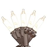 Novelty Lights RetroGlo® LED Mini Lights, 10 Clear Bulbs on Brown Wire, 5.5ft with 4