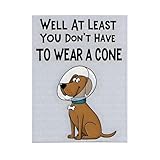 Well at Least You Don’t Have to Wear a Cone Blanket – Funny Cozy Fleece Throw for Pet Lovers, Comfort Gift for Dog & Cat Families, Humor Get-Well Encouragement Blanket