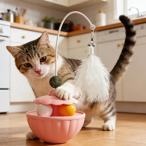 Jouets éducatifs interactifs pour rompre l'ennui du chat de petite et moyenne taille - 3