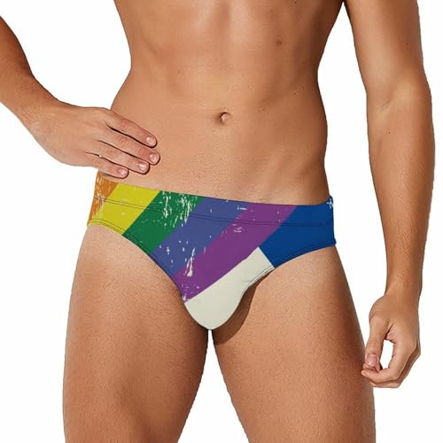 Vintage Rainbow Swedish Flag Printed Swim Briefs for Men Sexy Bikini Swimwear Elastic Beach Trunks Bathing Suit