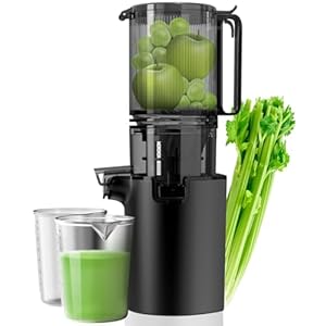 Masticating Juicer, 350W Slow Cold Press Juicer with 5.3″ Larger Feed Chute, Pure Juicer Machines for Whole Vegetables & Fruits, Easy to Clean with Brush