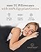 1000 TC Dark Gray Standard Pillowcases Set of 2 100% Egyptian Cotton Pillow Cases with Long Staple Cotton & Sateen Weave, Silky Soft Hotel - Like Bed Pillow Covers for Comfy Sleeping, Snug Fit