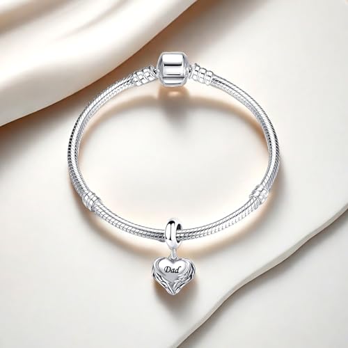 WangLing Guardian Angel Wings Heart Dangle Charm for Pandora Bracelet Women Present3