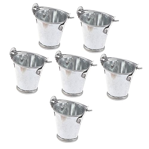 ibasenice 6 Piezas Mini Decoraciones de la casa Miniature House muñecos jueguetes Toys Decoración Cuenca Juguete de Piscina Planta Agua Mini Cubo Accesorio de casa en Miniatura Metal Silver