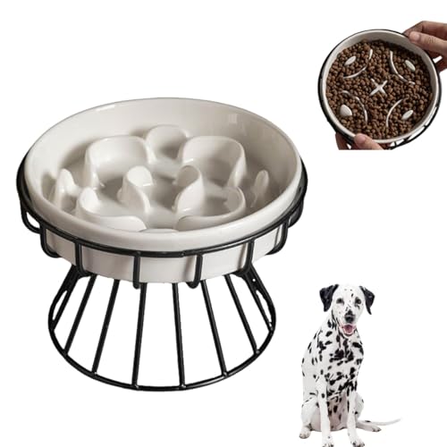 ダルメシアン 陶器 犬」の人気商品一覧 | 安い商品を通販サイトから